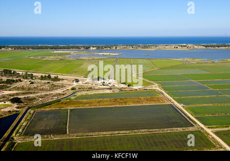 Vista aerea di campi di riso. Comporta, Alentejo, Portogallo Foto Stock