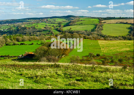 Crook picco, vicino a Weston-super-mare, somerset Foto Stock