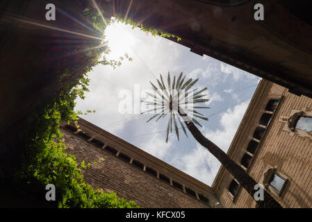 Barcellona cortile con Palm tree Foto Stock