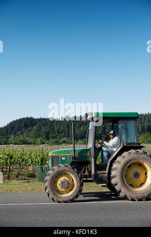 Stati Uniti, California, healdsburg, sui motivi di vigneti vigna nalle, una famiglia di proprietà e gestito cantina in Sonoma County Foto Stock