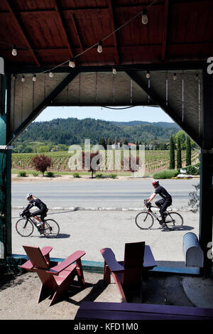 Stati Uniti, California, healdsburg, all'interno di dry creek general store e bar in Alexander Valley Foto Stock