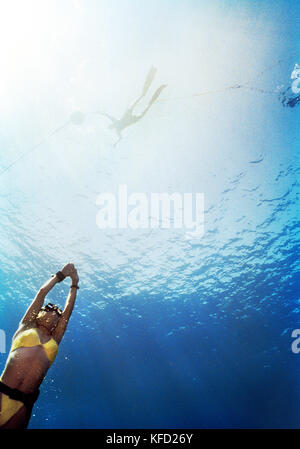 Isole Cayman, Grand Cayman, Canadien nazionale team apnea pratiche per una concorrenza nel Mar dei Caraibi Foto Stock