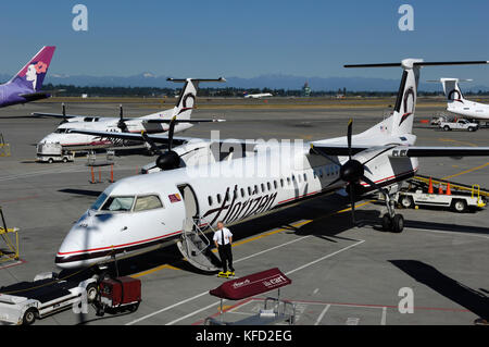 Pilota al airstairs di un orizzonte aria Bombardier DHC-8 Dash 8-400 Q400 parcheggiato sul piazzale con rimorchiatore attaccato, bagagli a cinghia di trasporto carrello, un DHC-8 Foto Stock