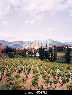 In Spagna, La Rioja, vigneto con case e la gamma della montagna in background Foto Stock