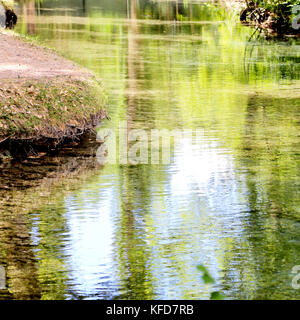 Piccola isola con willow sulle Fonti del Clitunno lago in Umbria. Foto Stock