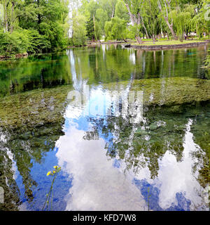 Piccola isola con willow sulle Fonti del Clitunno lago in Umbria. Foto Stock