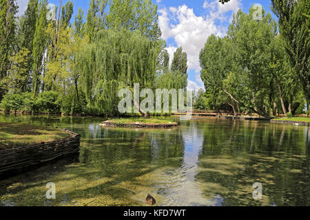 Piccola isola con willow sulle Fonti del Clitunno lago in Umbria. Foto Stock