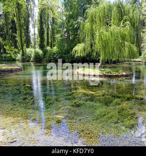 Piccola isola con willow sulle Fonti del Clitunno lago in Umbria. Foto Stock