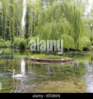 Piccola isola con willow sulle Fonti del Clitunno lago in Umbria. Foto Stock