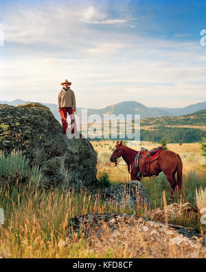 Stati Uniti, Montana, cowboy in piedi su rocce con corda di piombo cavallo, Gallatin National Forest, Emigrant Foto Stock