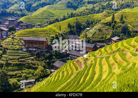Stock photo - terrazze longji campi di riso vicino a Guilin, nel Guangxi - Cina Foto Stock