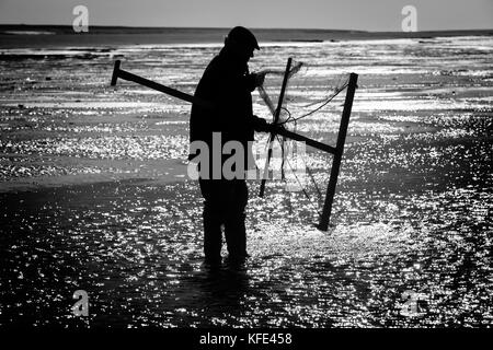 Compensazione di gamberi sulla costa di Norfolk Foto Stock