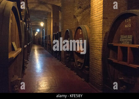 Cantine a Mendoza, Argentina Foto Stock