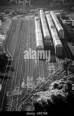 Auto vettore ferroviario auto in un cantiere di marshalling treno. Foto Stock