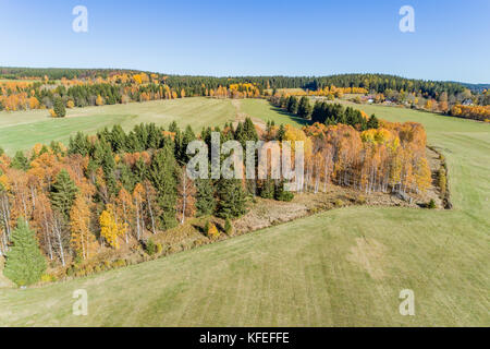 Vista aerea sulla foresta. Autunno in Selva Boema, splendidamente alberi colorati in autunno, veduta aerea della foresta nel sud della Selva Boema vicino chalupska moor. p nazionale Foto Stock