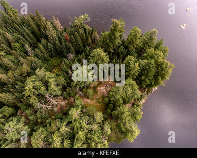 Splendida piccola isola con foresta sul tranquillo lago vicino a algonquin park canada Foto Stock