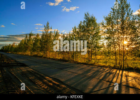 Strada di lastre di cemento in autunno con i raggi solari di luce rendendo la strada attraverso gli alberi. Foto Stock