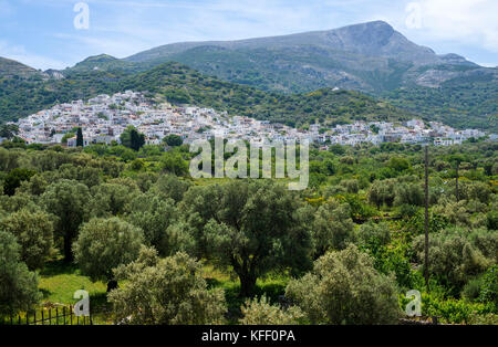 Il villaggio Filoti, isola di Naxos, Cicladi, Egeo, Grecia Foto Stock