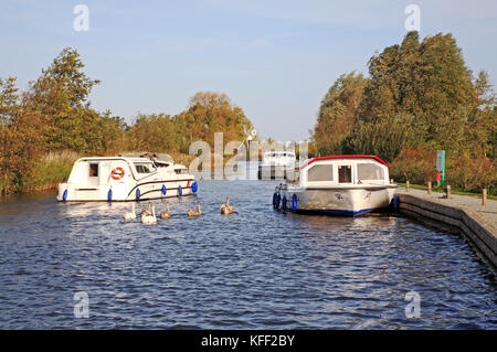 Una veduta del fiume Ant con gli incrociatori e i cigni muti da How Hill, Ludham, Norfolk, Inghilterra, Regno Unito. Foto Stock