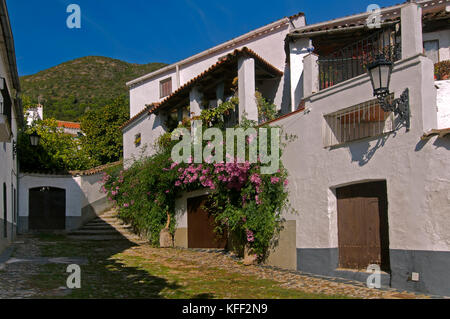 La veduta urbana, Linares de la sierra, parco naturale della Sierra de Aracena y Picos de Aroche, provincia di Huelva, regione dell'Andalusia, Spagna, Europa Foto Stock