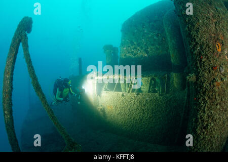 Naufragio peltastis e scuba diver, mare adriatico, mare mediterraneo, Krk, golfo di Kvarner o bay, Croazia Foto Stock