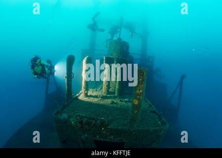 Naufragio peltastis e scuba diver, mare adriatico, mare mediterraneo, golfo di Kvarner, Croazia Foto Stock