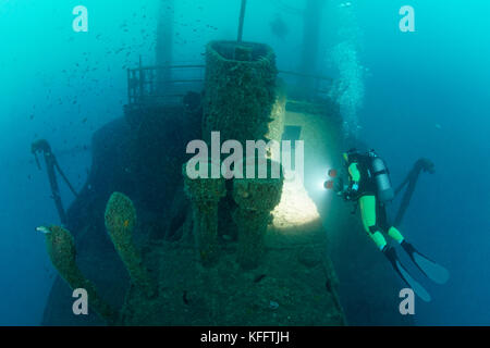 Relitto Peltastis e immersioni subacquee, Mar Adriatico, Mar Mediterraneo, Golfo del Quarnero, Croazia Foto Stock