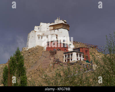 Monastero Buddista namgyal tseemo close up: bianco e la Borgogna gong edifici sostare sulla cima di una scogliera tra gli alberi, ladakh india del Nord. Foto Stock