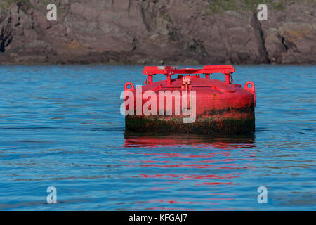 Marcatore di navigazione danneggiati da tempeste in Milford haven ingresso Foto Stock