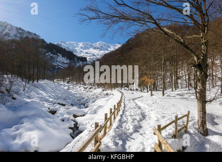 Sentiero alpino con recinto dopo una nevicata in mattinata di cammino nelle Alpi coperte da neve Foto Stock