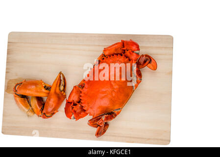 Vista dall'alto di Scilla serrata. Un granchio al vapore con due grandi claw separati su legno tagliere isolato su sfondo bianco con spazio copia. Il pesce r Foto Stock