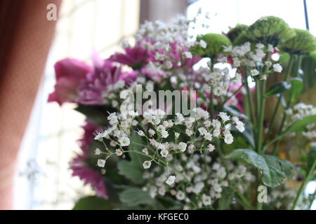 Fino vicino a colpi di fiori con sfocatura dello sfondo e contrasto. la natura, la flora e la fauna verde in interni. catturare la natura come arte. Foto Stock