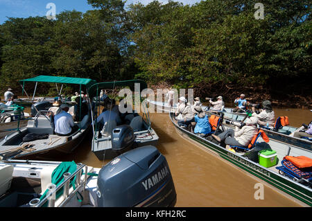 Per i turisti che cercano i giaguari su safari in barca a Cuiabá river, Pantanal del Mato Grosso, Brasile Foto Stock