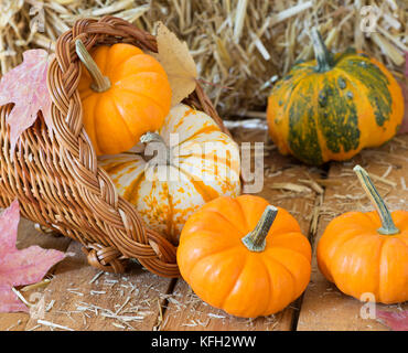 Zucche colorate e zucche su uno sfondo di legno Foto Stock