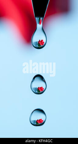 Una rosa catturati si riflette in una serie di gocce di acqua dal rubinetto Foto Stock