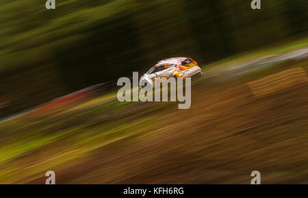 Matthew Wilson nella Ford Fiesta R5 durante la quarta giornata del Rally GB del Galles di Dayinsure. Foto Stock