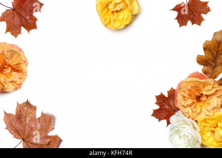 Autunno cornice floreale fatta di acero colorato e foglie di quercia e la dissolvenza di albicocca e giallo rose isolati su sfondo bianco. cadere e di ringraziamento il concetto di stock in stile appartamento fotografia laici. vista dall'alto. Foto Stock