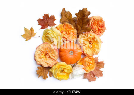 Autunno composizione floreale fatta di acero colorato, foglie di quercia, arancione zucca e fading roses isolati su sfondo bianco. cadere e di ringraziamento il concetto di stock in stile appartamento fotografia laici. vista dall'alto. Foto Stock