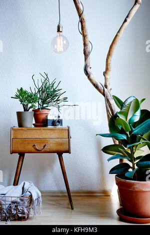 Living room design vintage e moderna miscela con abbondanza di piante nella soleggiata atmosfera Foto Stock