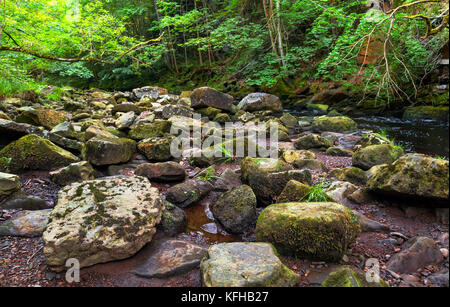 Lungo le rive di West Beck vicino Mallyan Spout,North York Moors National Park Foto Stock