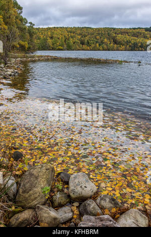 Loch achilty, contin, Ross shire, Scotland, Regno Unito Foto Stock