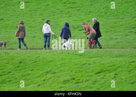 Bristol, Regno Unito. 29 ottobre 2017. Meteo nel Regno Unito. La mattina presto ad Ashton Court Estate in un lieve giorno di fine ottobre. Persone che amano camminare correre e uscire con i loro cani. Crediti: Robert Timoney/Alamy Live News Foto Stock