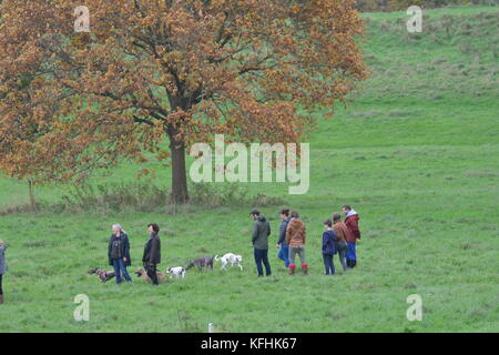 Bristol, Regno Unito. 29 ottobre 2017. Meteo nel Regno Unito. La mattina presto ad Ashton Court Estate in un lieve giorno di fine ottobre. Persone che amano camminare correre e uscire con i loro cani. Crediti: Robert Timoney/Alamy Live News Foto Stock