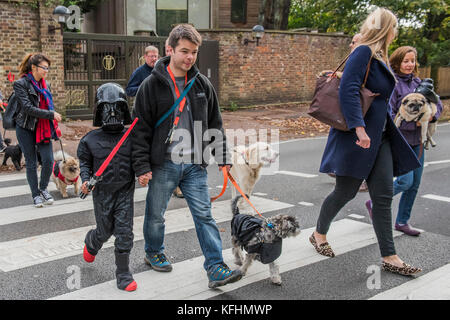 Hampstead Heath, Londra, Regno Unito. 29 ott 2017. Una carità Halloween dog walk e Fancy Dress mostra organizzata da tutti i cani questione presso gli Spaniards Inn, Hampstead. Londra 29 Ott 2017. Credito: Guy Bell/Alamy Live News Foto Stock