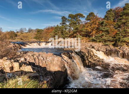 Paesaggio di Teesdale, vivaci colori autunnali a bassa forza cascata come si vede dalla Pennine Way a lunga distanza sentiero Ottobre 2017 con spazio di copia Foto Stock