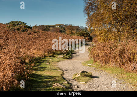 Paesaggio di Teesdale, del The Pennine Way a lunga distanza sentiero sull'approccio di forza elevata in cascata in un pomeriggio autunnale Ottobre 2017 con spazio di copia Foto Stock