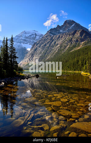 Un'immagine di paesaggio verticale del lago Cavell con il monte Edith Cavell sullo sfondo preso nel Jasper National Park Alberta Canada Foto Stock