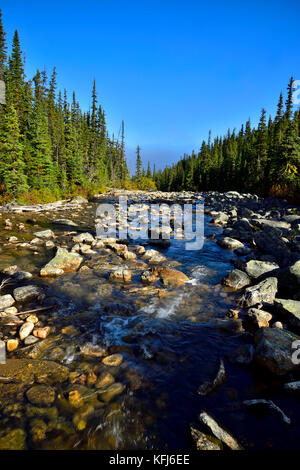 Un lento ruscello che scorre in discesa dal lago Cavell fino al fiume Astoria sul Sentiero del ghiacciaio nel Jasper National Park Alberta Canada. Foto Stock