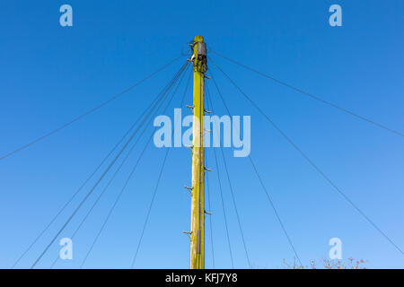 Le linee telefoniche. Suffolk, Regno Unito. Foto Stock