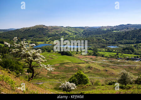 Elterwater hammerscar dal parco nazionale del distretto dei laghi cumbria Foto Stock